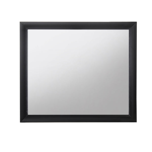 ACME Ireland Black Mirror Model 04164