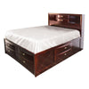 ACME Ireland Espresso Eastern King Bed with Storage Model 21596EK