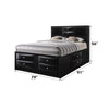 ACME Ireland Black Eastern King Bed with Storage Model 21606EK