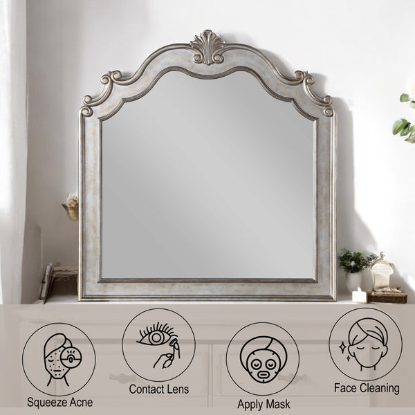 ACME Esteban Antique Champagne Mirror Model 22204