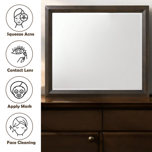 ACME Merveille Espresso Mirror Model 22874