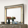 ACME Skylar LED & Dark Champagne Mirror with LED Model 25324