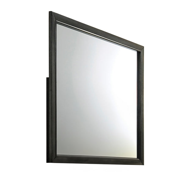 ACME Carine II Gray Mirror Model 26264