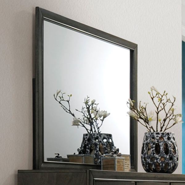 ACME Carine II Gray Mirror Model 26264