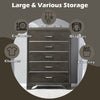 ACME Carine II Gray Chest Model 26266