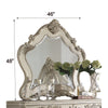 ACME Ragenardus Antique White Mirror Model 27014