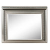 ACME Sadie Dark Champagne Mirror with LED Model 27944
