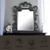 ACME House Delphine Charcoal Mirror Model 28834