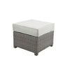 ACME Salena Beige Fabric & Gray Wicker Patio Sofa with 2 Pillows & Ottoman Model 45015