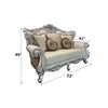 ACME Bently Fabric & Champagne Loveseat with 5 Pillows(Same LV01580) Model 50661