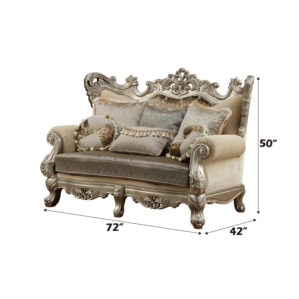 ACME Ranita Fabric & Champagne Loveseat with 6 Pillows Model 51041