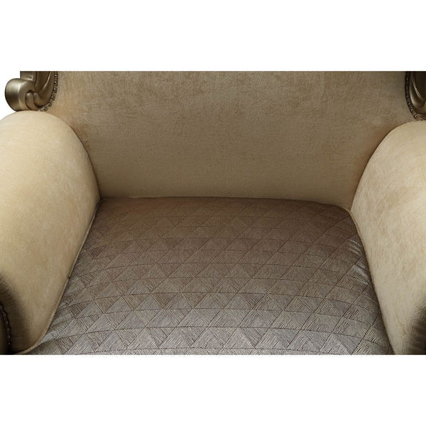 ACME Ranita Fabric & Champagne Chair with 2 Pillows Model 51042