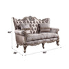 ACME Jayceon Fabric & Champagne Loveseat with 2 Pillows Model 54866