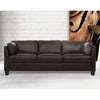 ACME Matias Chocolate Top Grain Leather Sofa Model 55010