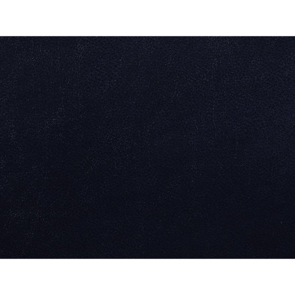 ACME Aashi Navy LeatherGel Match Motion Sofa Model 55370