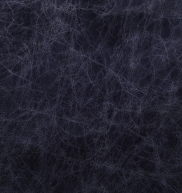 ACME Birdie Vintage Blue Top Grain Leather Modular Armless Chair Model 56595