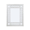 ACME Varian Mirrored & Antique Platinum Mirror Model 66158