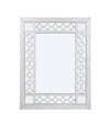 ACME Varian Mirrored & Antique Platinum Mirror Model 66158
