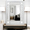 ACME Varian Mirrored & Antique Platinum Mirror Model 66158