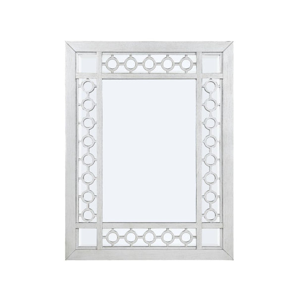 ACME Varian Mirrored & Antique Platinum Mirror Model 66158