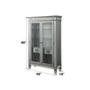 ACME Varian Mirrored & Antique Platinum Curio Model 66166