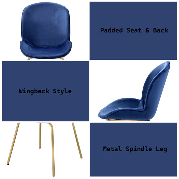 ACME Chuchip Blue Velvet & Gold Side Chair (Set-2) Model 72947