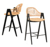 Modrest Gayle Modern Rattan Counter Stool Set Of 2 Model VGFH-0139710-RB-BS
