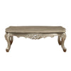ACME Ranita Marble Top & Champagne Coffee Table Model 81040