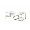 ACME Astrid Gold & Mirror Coffee Table Model 81090