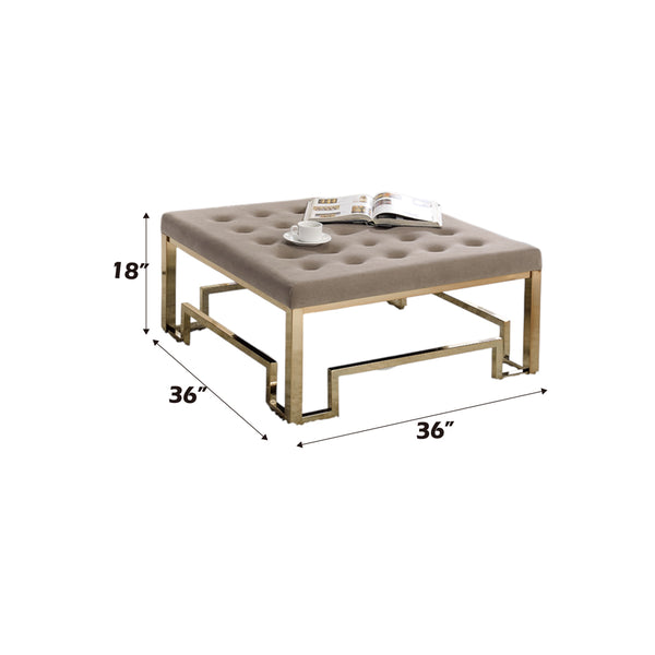 ACME Damien Fabric & Champagne Cocktail Ottoman Model 81625