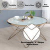 ACME Valora Champagne & Frosted Glass Coffee Table Model 81825