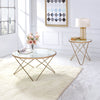 ACME Valora Champagne & Frosted Glass End Table Model 81827