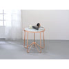 ACME Alivia Rose Gold & Frosted Glass End Table Model 81837