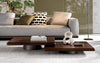 Modrest Valley Modern Walnut & Titanium Coffee Table Set Model VGIP-ST798AB