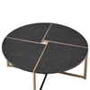 ACME Bromia Black & Champagne Coffee Table Model 83005
