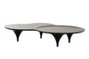 Modrest Beulah Modern Free Form Black Ash Coffee Table Model VGOD-LZ-319C-BLK