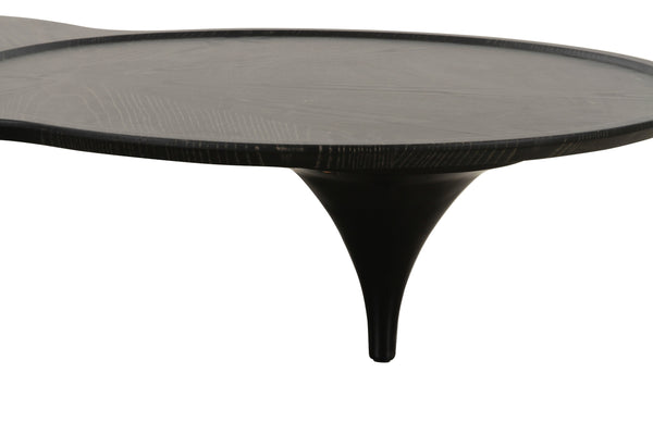 Modrest Beulah Modern Free Form Black Ash Coffee Table Model VGOD-LZ-319C-BLK
