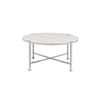 ACME Brecon White Oak & Chrome Coffee Table Model 83210