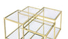 ACME Uchenna Clear Glass & Gold Coffee Table Model 83470
