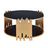 ACME Tanquin Gold & Black Glass Coffee Table Model 84490