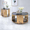 ACME Tanquin Gold & Black Glass End Table Model 84492