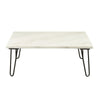ACME Telestis White Natural Marble Top & Black Coffee Table Model 84500