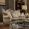 ACME Ranita Fabric & Champagne Loveseat with 6 Pillows Model 51041