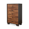 ACME Eloy Walnut & Espresso Chest Model 97366