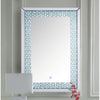 ACME Nysa Mirrored & Faux Crystals Accent Mirror with LED Model 97591