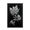 ACME Talisha Smoky Glass & Faux Crystal Wall Art with LED Model 97716
