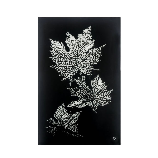 ACME Talisha Smoky Glass & Faux Crystal Wall Art with LED Model 97716