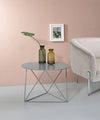 ACME Epidia Gray Accent Table Model 97843