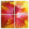Modrest Hibiscus 4 Panel Photo On Canvas Model VGSC-SC-9637ABCD