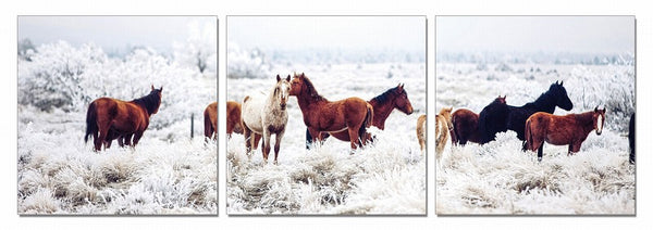 Mustangs 3-Panel Photo On Canvas